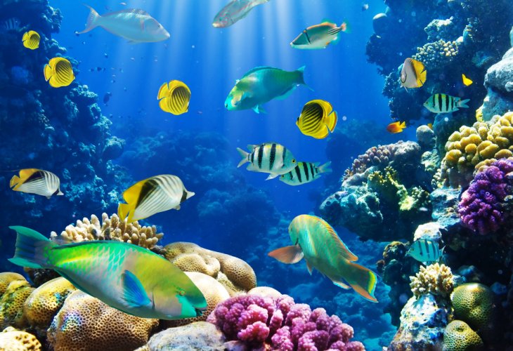 (Photo: shutterstock)
