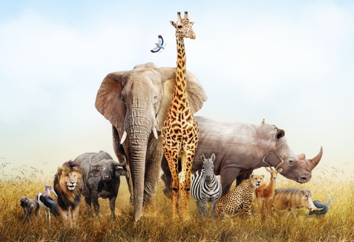 (Photo: shutterstock) (Photo: shutterstock)