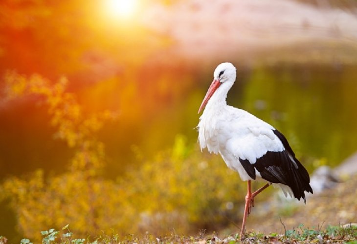 (Photo: shutterstock) (Photo: shutterstock)