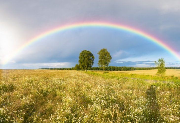 (Photo: Shutterstock) (Photo: Shutterstock)