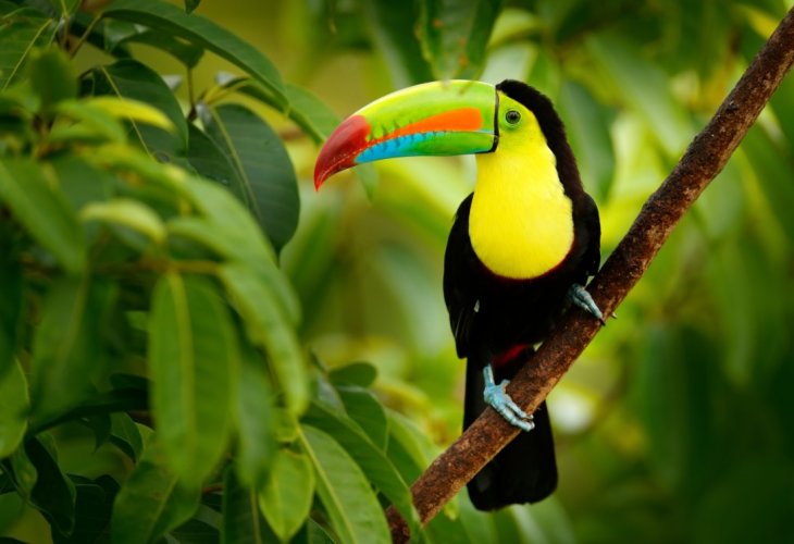 (Photo: Shutterstock)