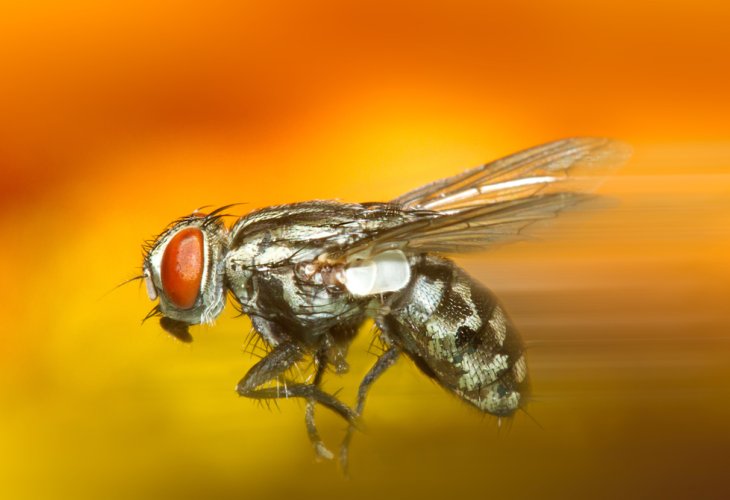(Photo: shutterstock) (Photo: shutterstock)