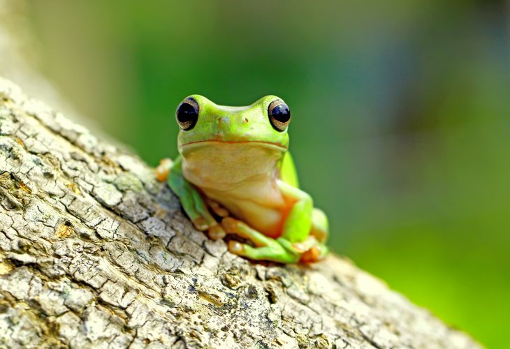 (Photo: shutterstock) (Photo: shutterstock)