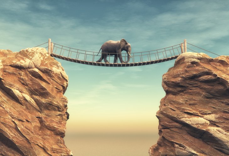 (photo: shutterstock) (photo: shutterstock)