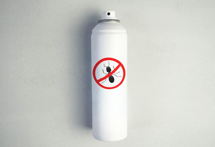 (Photo: shutterstock) (Photo: shutterstock)