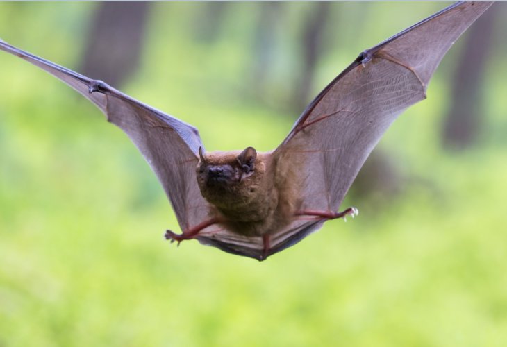 (Photo: shutterstock) (Photo: shutterstock)