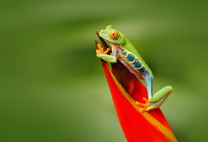 (Photo: shutterstock) (Photo: shutterstock)