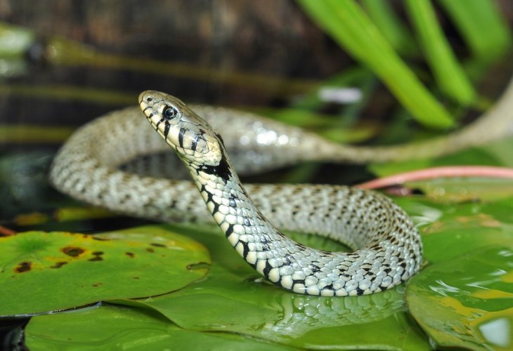 (Photo: shutterstock) (Photo: shutterstock)