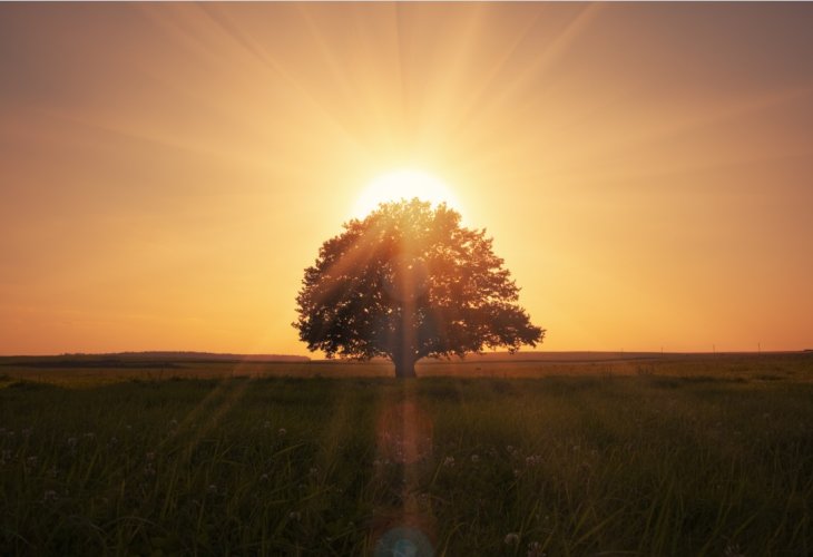 (Photo: shutterstock) (Photo: shutterstock)