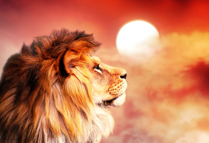 (Photo: shutterstock) (Photo: shutterstock)