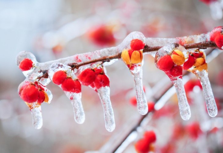 (Photo: shutterstock)