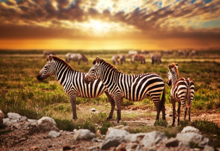 (Photo: shutterstock) (Photo: shutterstock)