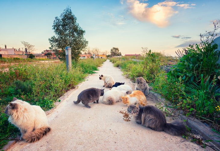 (Photo: shutterstock) (Photo: shutterstock)