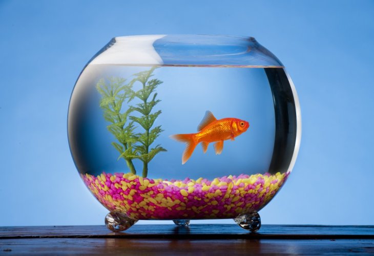(Photo: shutterstock) (Photo: shutterstock)