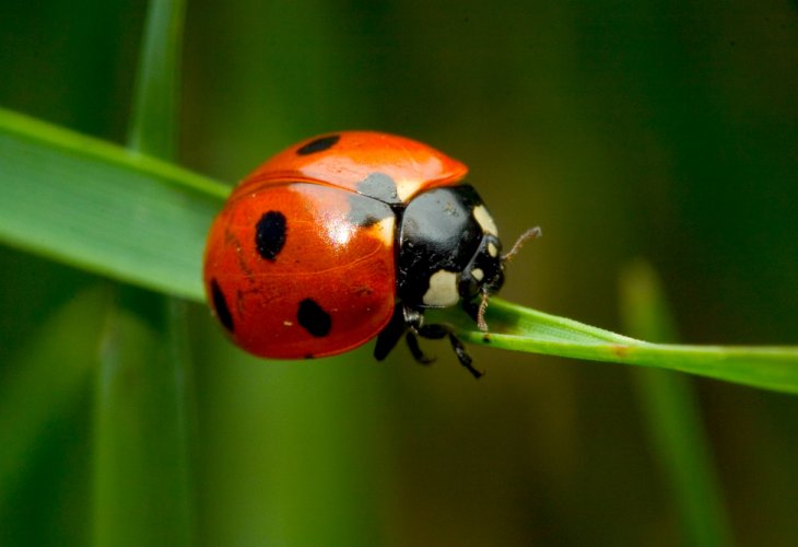 (Photo: shutterstock) (Photo: shutterstock)