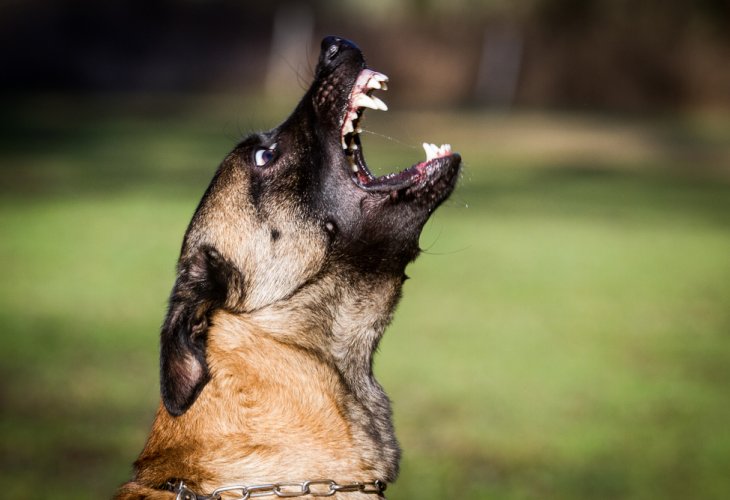 (Photo: shutterstock) (Photo: shutterstock)