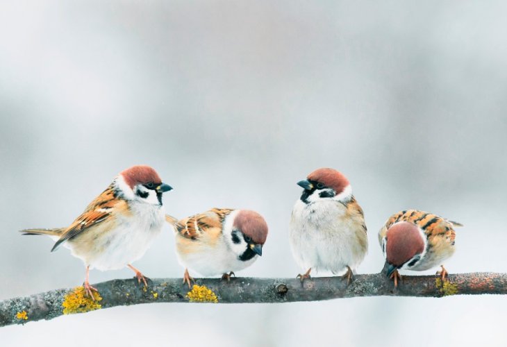 (Photo: shutterstock) (Photo: shutterstock)