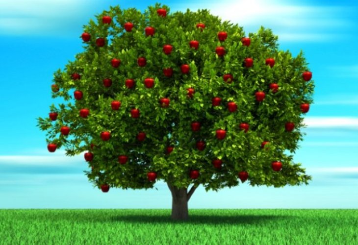 (Photo: shutterstock) (Photo: shutterstock)