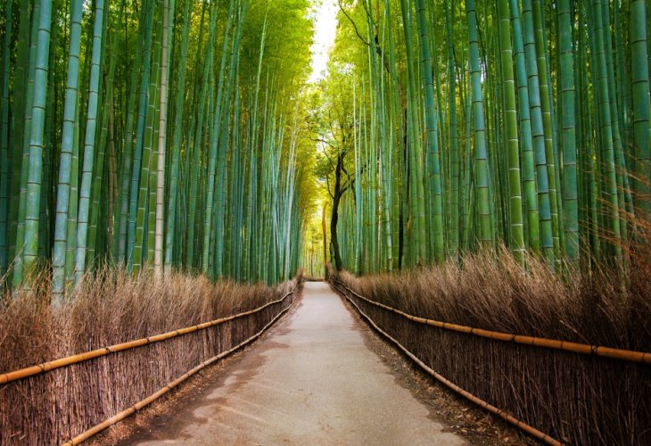 (Photo: shutterstock)