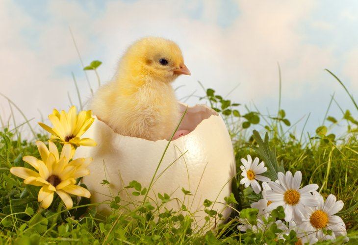 (Photo: shutterstock) (Photo: shutterstock)