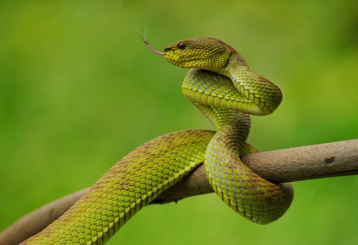(Photo: shutterstock)