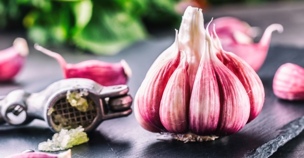 Hanukkah prayer english hebrew