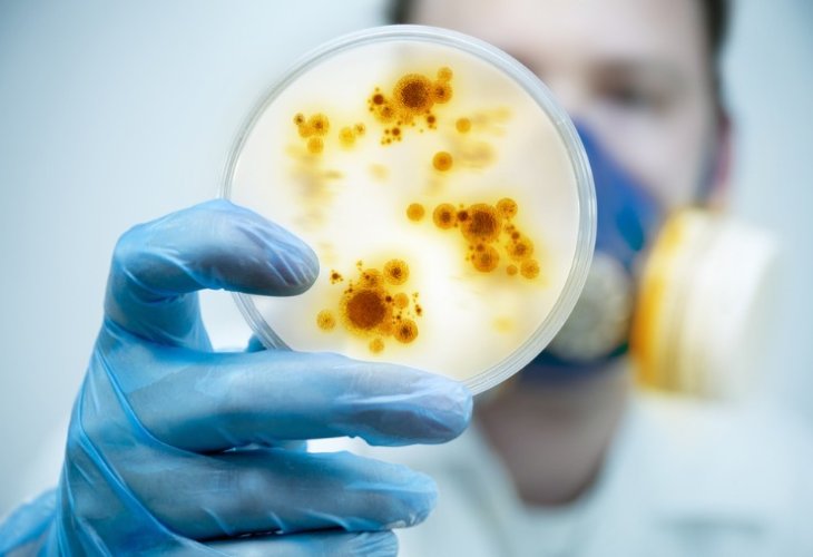 The Flesh-Eating Bacteria