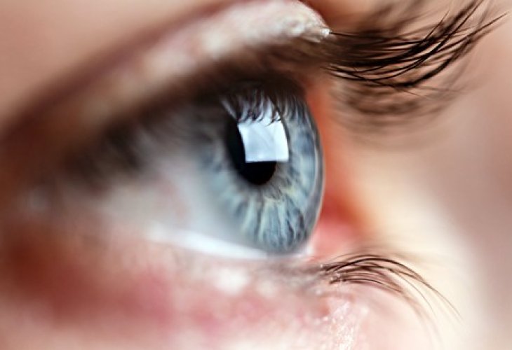 (photo: shutterstock)