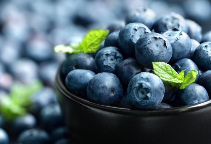 Blueberries | Blueberry Concentrate (Photo: shutterstock)