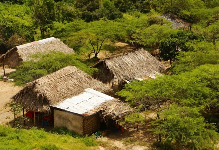 Indigenous tribes in the Amazon rainforest (photo: shutterstock) Indigenous tribes in the Amazon rainforest (photo: shutterstock)