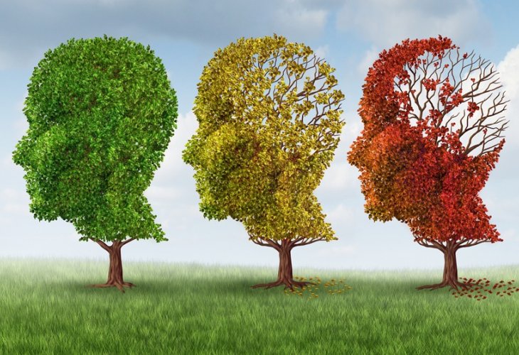 (Photo: shutterstock) (Photo: shutterstock)