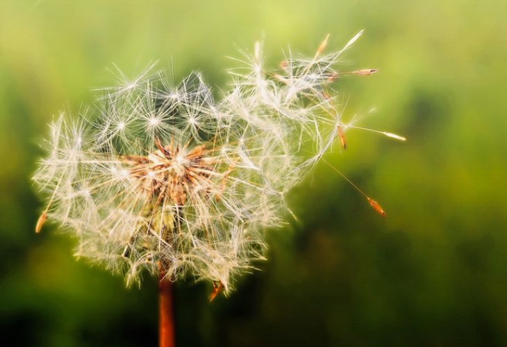 (Photo: Shutterstock) (Photo: Shutterstock)