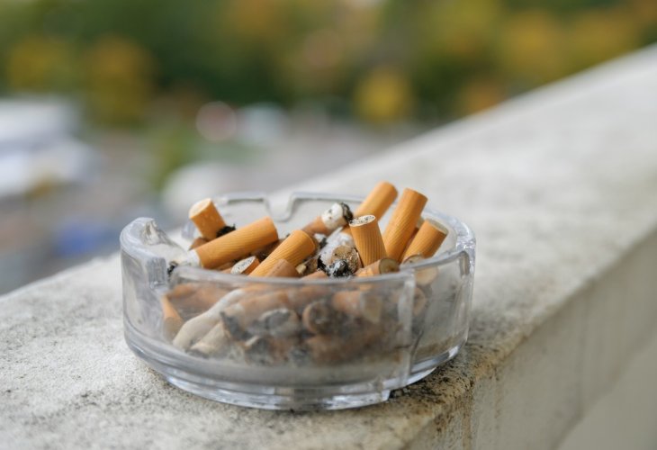 (photo: shutterstock) (photo: shutterstock)