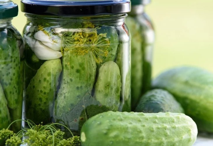 In the illustration: A detailed and enlightening explanation about the health benefits of traditionally pickled cucumbers.