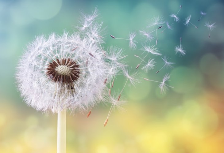 (Photo: shutterstock)