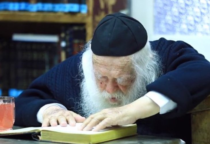 Rabbi Chaim Kanievsky (Photo: David Zer) Rabbi Chaim Kanievsky (Photo: David Zer)