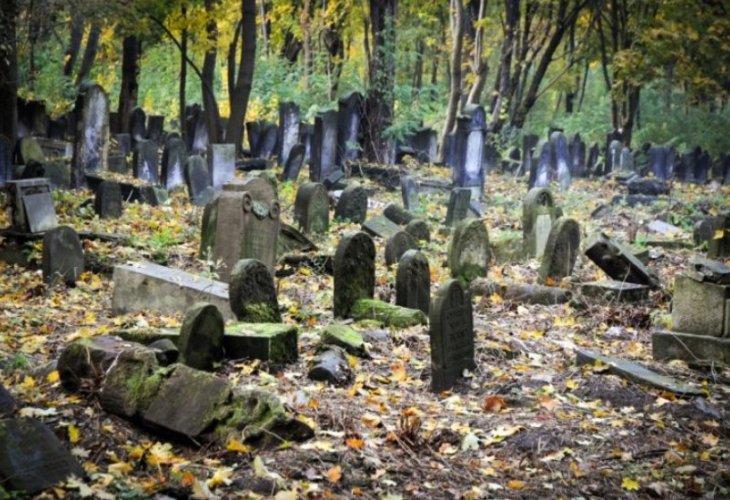 Jewish cemetery in Poland (Photo: shutterstock) Jewish cemetery in Poland (Photo: shutterstock)