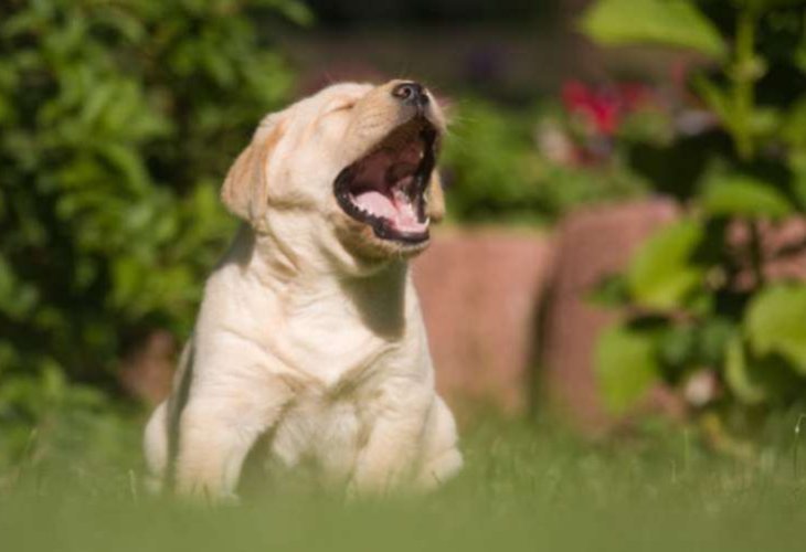 (Photo: shutterstock) (Photo: shutterstock)