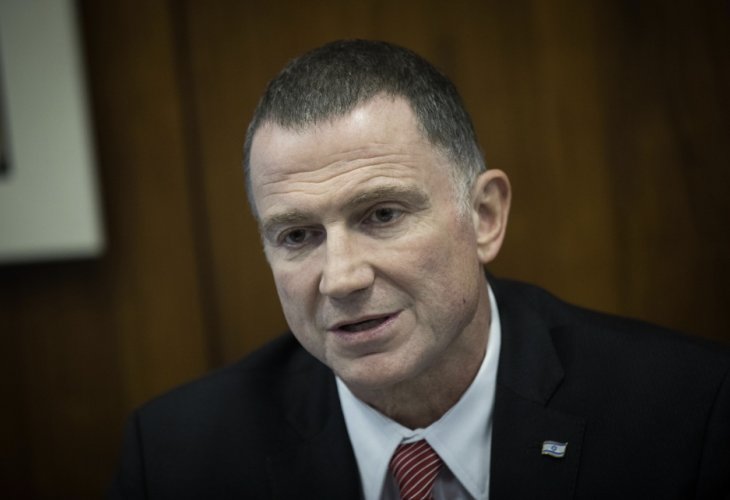 Yuli Edelstein, Speaker of the Knesset (Photo: Flash 90)
