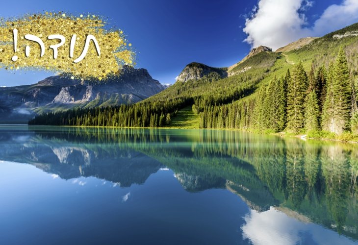 (Illustration photo: shutterstock) (Illustration photo: shutterstock)