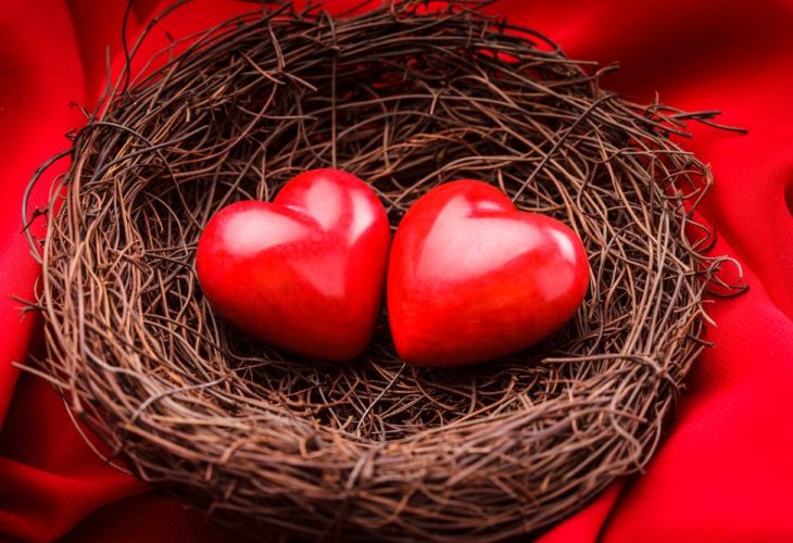 (Photo: Shutterstock) (Photo: Shutterstock)