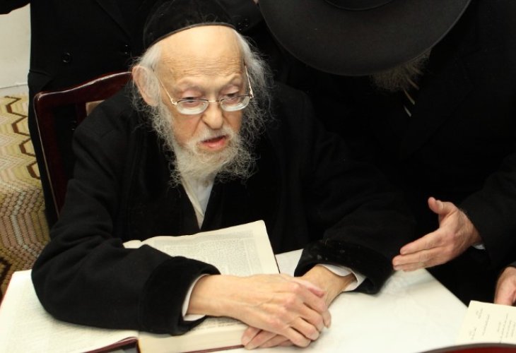 The Great Rabbi Elyashiv (Photo: Yaakov Nahumi / Flash 90) The Great Rabbi Elyashiv (Photo: Yaakov Nahumi / Flash 90)
