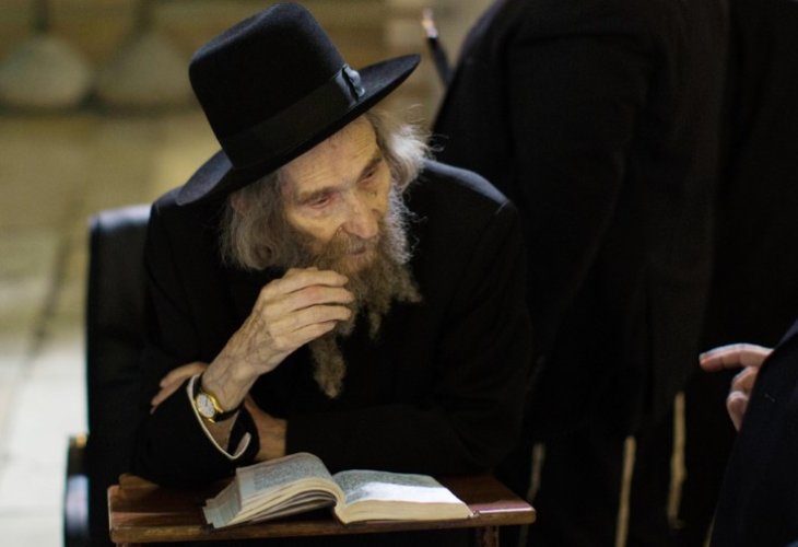Rabbi Shteinman (Photo: Flash 90) Rabbi Shteinman (Photo: Flash 90)