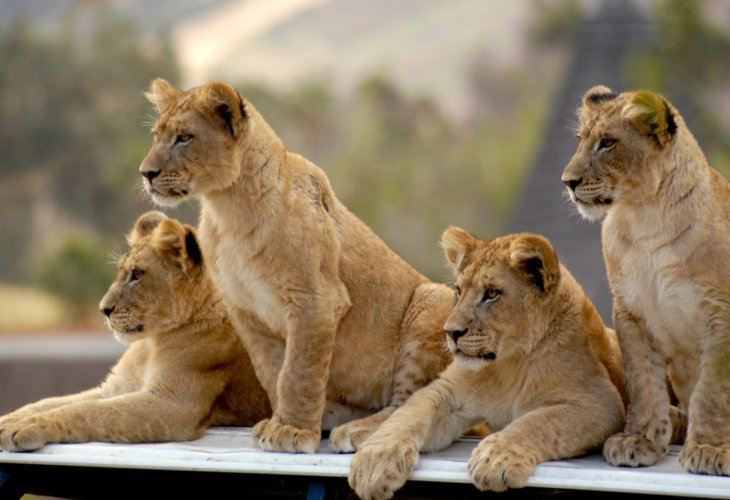 (Photo: shutterstock)