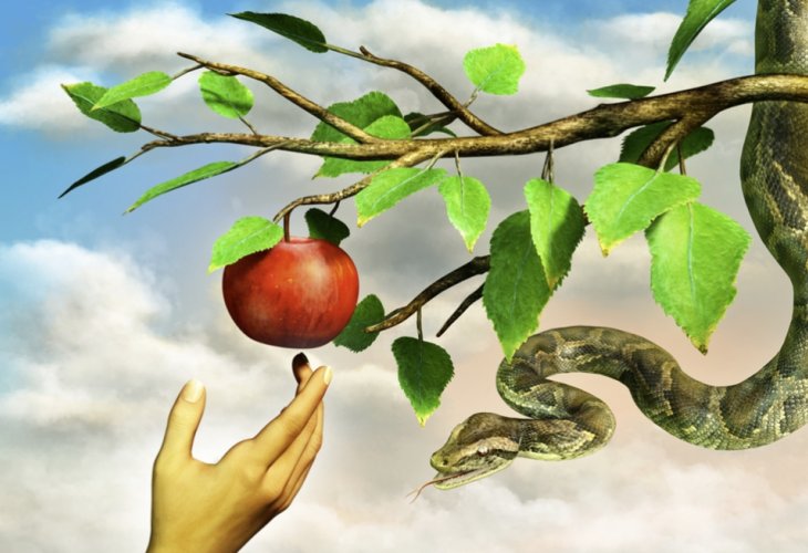 (Photo: Shutterstock) (Photo: Shutterstock)