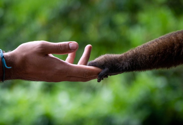 (Photo: Shutterstock) (Photo: Shutterstock)