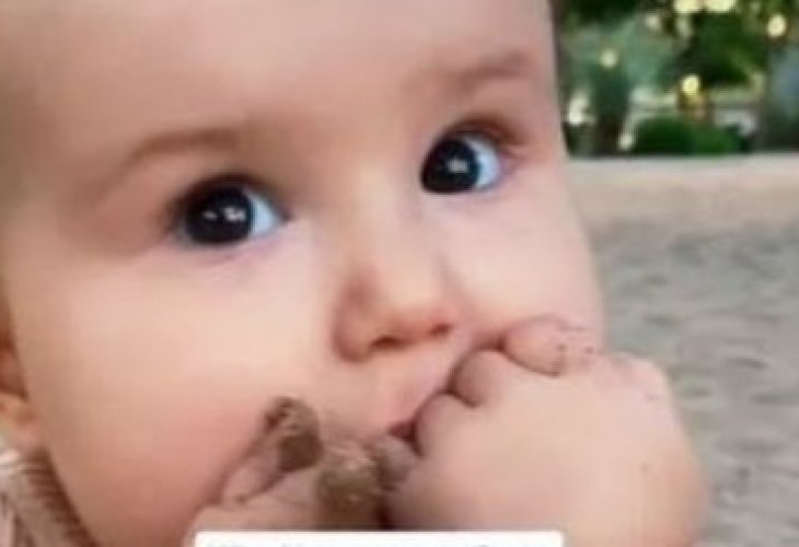 Eight-month-old Fern in his backyard, eating sand, sticks, and stones