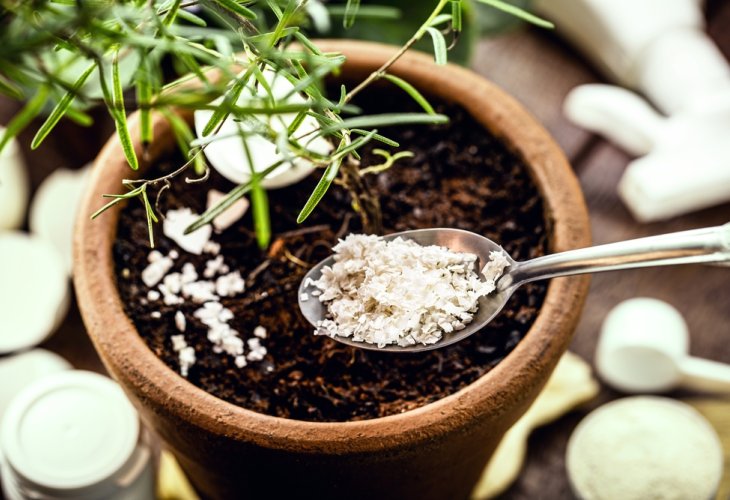 (Photo: shutterstock)