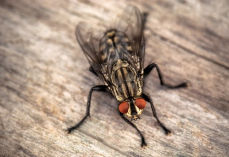 (Photo: Shutterstock)