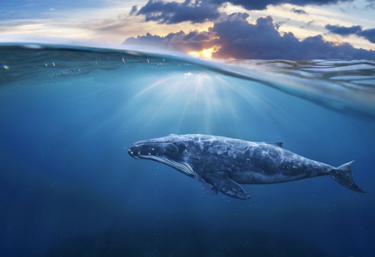 (Photo: Shutterstock) (Photo: Shutterstock)